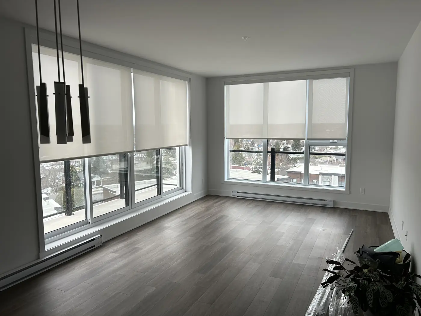 Toiles solaires 5 % dans un salon lumineux